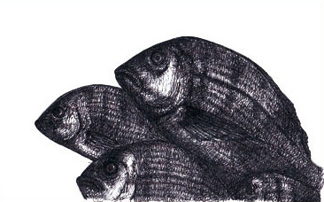 illustration-thailande-8